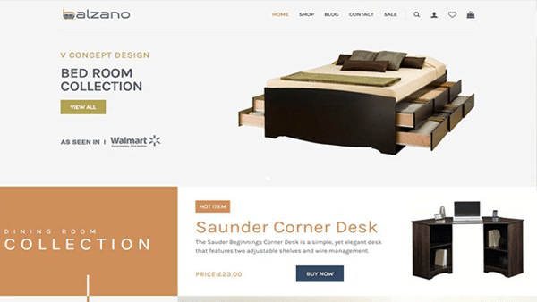 Website Design and Development Client - Balzano Ph